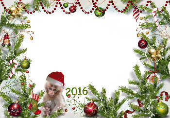 Bankauflage grün handwaschbecken gäste wc layout