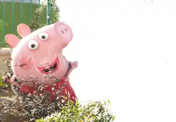 Fotoeffekt aus der Kategorie Verschiedenen Kinderrahmen № 101439