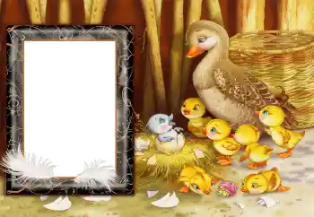 Fotoeffekt aus der Kategorie Dorf und Datscha № 166682