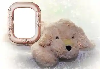 Fotoeffekt aus der Kategorie Mein Spielzeug und Haustiere № 169102 Fotoeffekt aus der Kategorie Mein Spielzeug und Haustiere № 169102