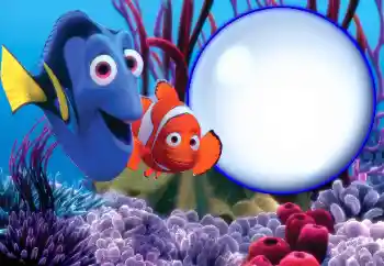 Fotoeffekt aus der Kategorie Am Meer № 67351