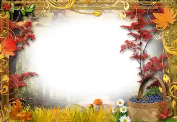 Fotoeffekt aus der Kategorie In der Natur № 192842