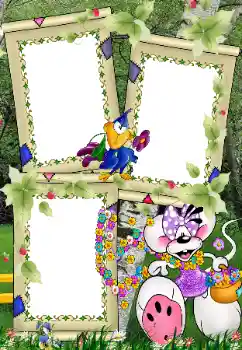 Fotoeffekt aus der Kategorie In der Natur № 39022