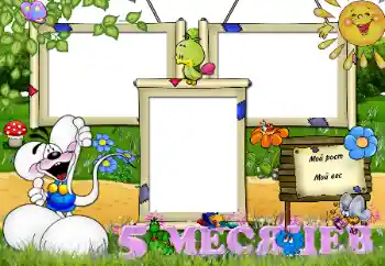 Beschriftung auf dem Rahmen: 5 monat