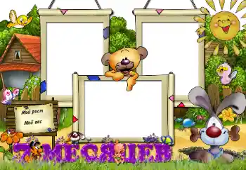 Beschriftung auf dem Rahmen: 7 monat