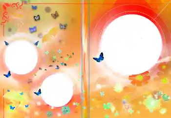 Fotoeffekt aus der Kategorie DVD Covers № 145141