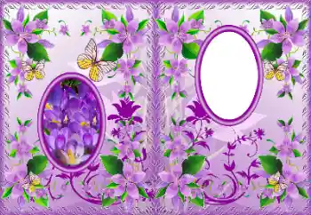 Fotoeffekt aus der Kategorie DVD Covers № 183322