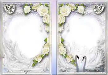 Fotoeffekt aus der Kategorie DVD Covers № 4456. Beschriftung auf dem Rahmen: Unsere Hochzeit