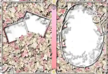 Fotoeffekt aus der Kategorie DVD Covers № 4459. Beschriftung auf dem Rahmen: Familienarchiv