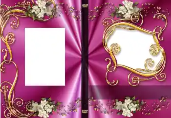 Fotoeffekt aus der Kategorie DVD Covers № 4528. Beschriftung auf dem Rahmen: Mein jubiläum!