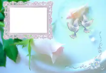 Fotoeffekt aus der Kategorie Einladungen № 4453. Beschriftung auf dem Rahmen: Einladung zur Hochzeit Fotoeffekt aus der Kategorie Einladungen № 4453. Beschriftung auf dem Rahmen: Einladung zur Hochzeit