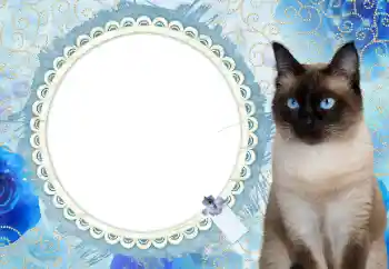 Fotoeffekt aus der Kategorie Kalender № 117588. Beschriftung auf dem Rahmen: 2026