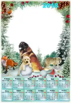 Fotoeffekt aus der Kategorie Kalender № 129853