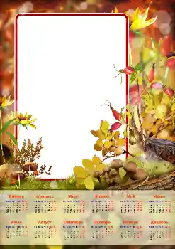 Fotoeffekt aus der Kategorie Kalender № 144885. Beschriftung auf dem Rahmen: 2026
