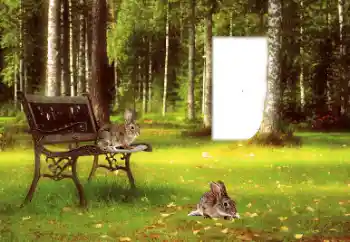 Fotoeffekt aus der Kategorie Kalender № 169048. Beschriftung auf dem Rahmen: 2026