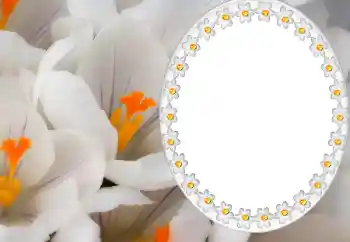 Fotoeffekt aus der Kategorie Kalender № 80371. Beschriftung auf dem Rahmen: 2026