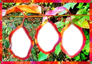 Fotoeffekt aus der Kategorie Verschiedene № 102598