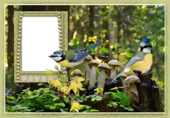 Fotoeffekt aus der Kategorie Verschiedene № 102602