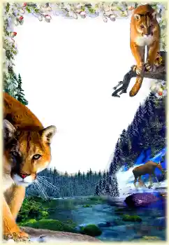 Fotoeffekt aus der Kategorie Verschiedene № 112361