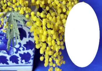 Fotoeffekt aus der Kategorie Verschiedene № 112719