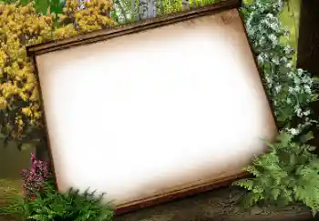 Fotoeffekt aus der Kategorie Verschiedene № 113134