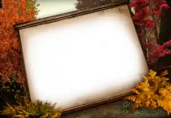 Fotoeffekt aus der Kategorie Verschiedene № 113138