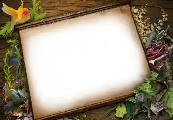 Fotoeffekt aus der Kategorie Verschiedene № 113139