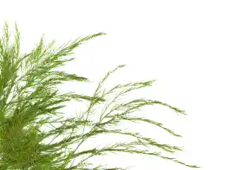 Fotoeffekt aus der Kategorie Verschiedene № 114378