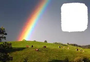 Fotoeffekt aus der Kategorie Verschiedene № 114599