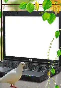 Fotoeffekt aus der Kategorie Verschiedene № 114633