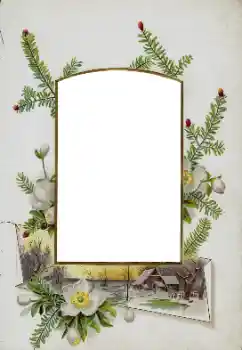 Fotoeffekt aus der Kategorie Verschiedene № 115833 Fotoeffekt aus der Kategorie Verschiedene № 115833