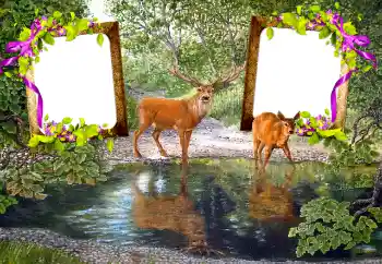 Fotoeffekt aus der Kategorie Verschiedene № 115890 Fotoeffekt aus der Kategorie Verschiedene № 115890