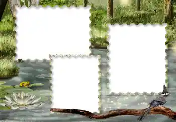 Fotoeffekt aus der Kategorie Verschiedene № 116216