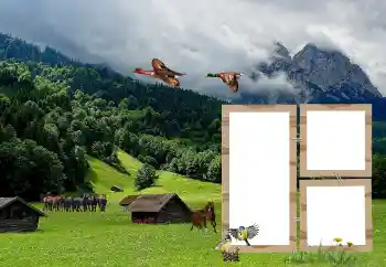 Fotoeffekt aus der Kategorie Verschiedene № 118908
