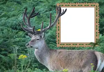Fotoeffekt aus der Kategorie Verschiedene № 121049