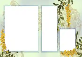 Fotoeffekt aus der Kategorie Verschiedene № 123242