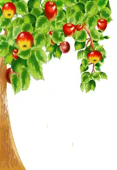 Fotoeffekt aus der Kategorie Verschiedene № 124400