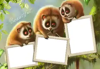 Fotoeffekt aus der Kategorie Verschiedene № 124434