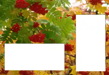 Fotoeffekt aus der Kategorie Verschiedene № 124596