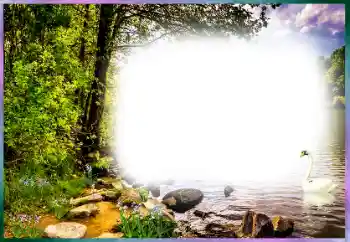 Fotoeffekt aus der Kategorie Verschiedene № 127169 Fotoeffekt aus der Kategorie Verschiedene № 127169