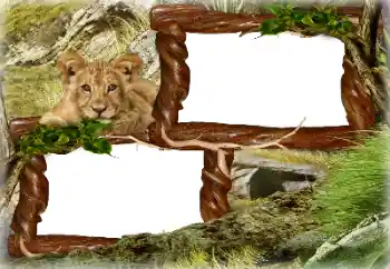 Fotoeffekt aus der Kategorie Verschiedene № 128637