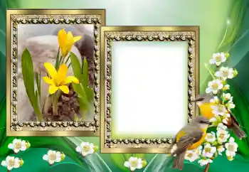 Fotoeffekt aus der Kategorie Verschiedene № 130649