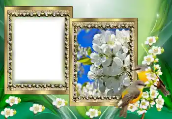 Fotoeffekt aus der Kategorie Verschiedene № 130650