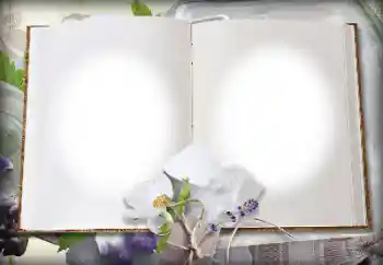 Fotoeffekt aus der Kategorie Verschiedene № 139914