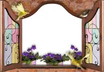 Fotoeffekt aus der Kategorie Verschiedene № 145186