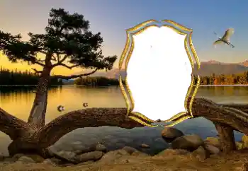 Fotoeffekt aus der Kategorie Verschiedene № 147663