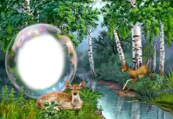 Fotoeffekt aus der Kategorie Verschiedene № 149352