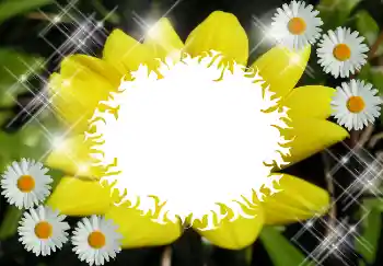 Fotoeffekt aus der Kategorie Verschiedene № 1530