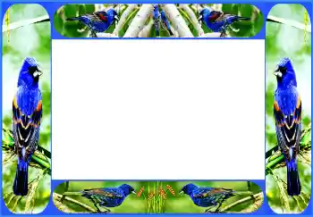 Fotoeffekt aus der Kategorie Verschiedene № 154514 Fotoeffekt aus der Kategorie Verschiedene № 154514