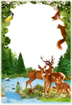 Fotoeffekt aus der Kategorie Verschiedene № 154547 Fotoeffekt aus der Kategorie Verschiedene № 154547